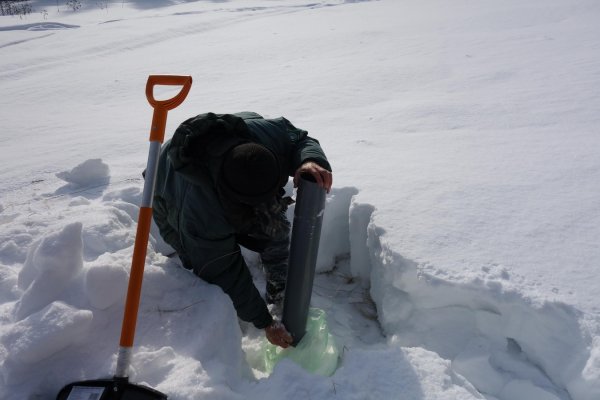 Мониторинг загрязнения снежного Покрова