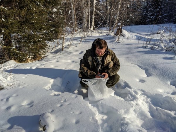 Загрязнение снежного Покрова