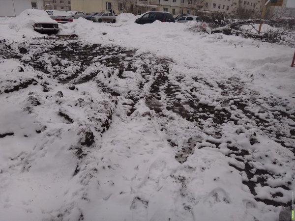 Загрязнение снега