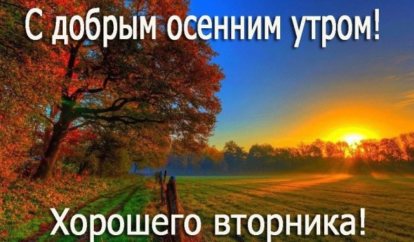С добрым осенним утром вторника