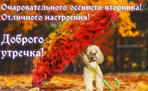 Открытки с добрым утром вторника осенние