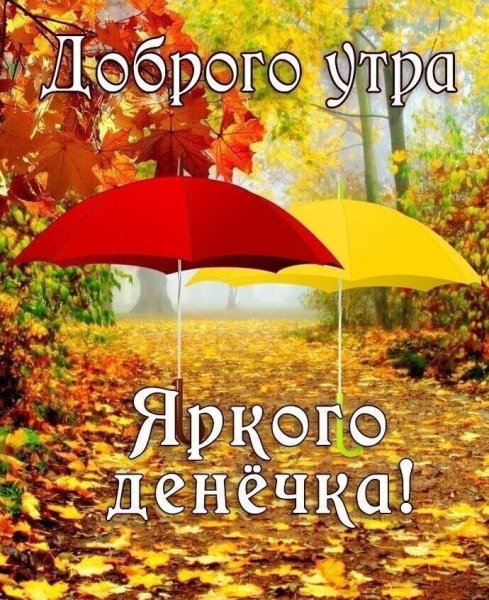 Хорошего осеннего доброго утра вторника