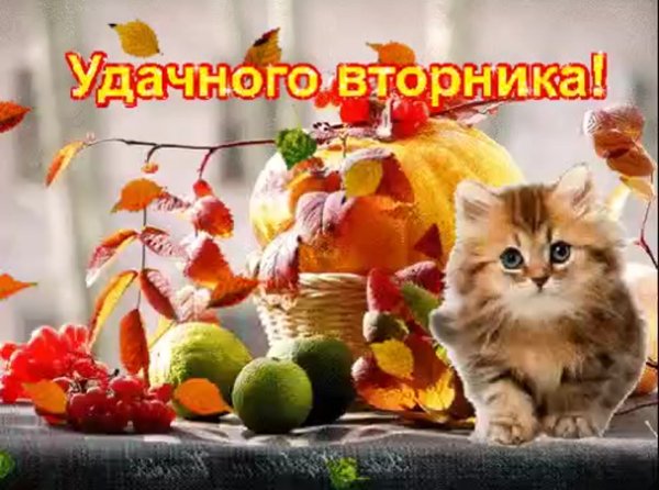 Открытки удачного вторника