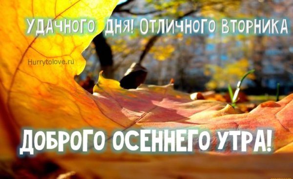 Дободгд осеннего аьорника