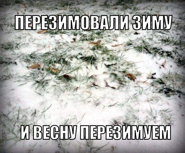 Шутки про снег в апреле