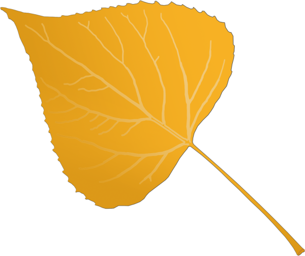 Берёза листья