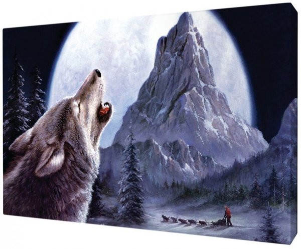 Картина воющий волк