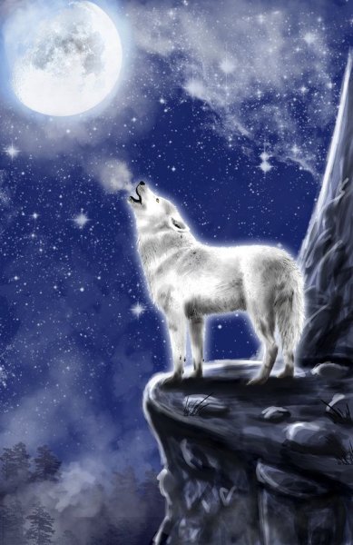 Волк и звезды