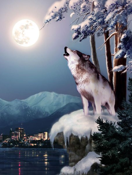 Красивые пейзажи с волками