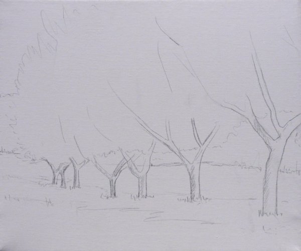 Поэтапный пейзаж карандашом