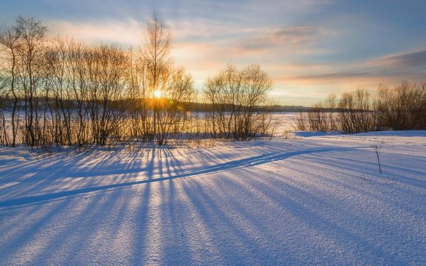 Солнечное зимнее поле