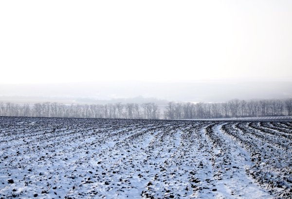 Поле зимой