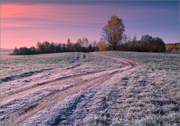 Поле поздней осенью