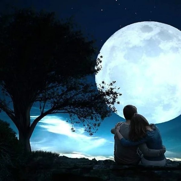 Прогулка под луной