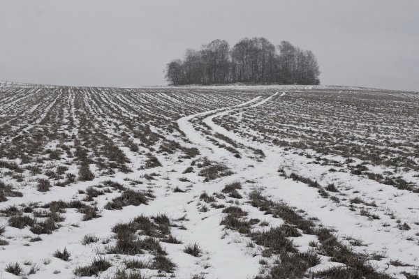 Снегопад в поле