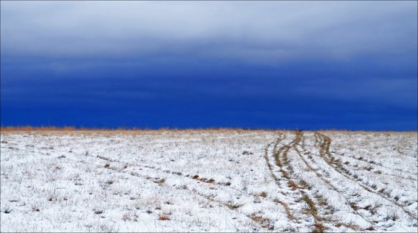Калмыцкая степь зима