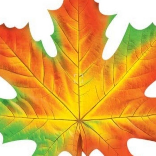 Кленовый лист 20х20