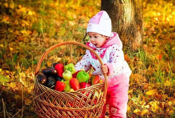 Осенний сбор урожая в саду