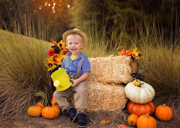 Осень сбор урожая