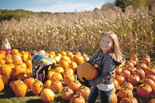 Сбор урожая