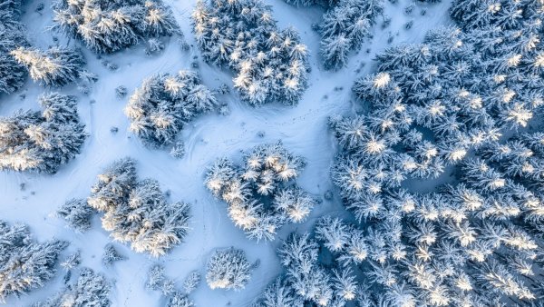 Снег вид сверху