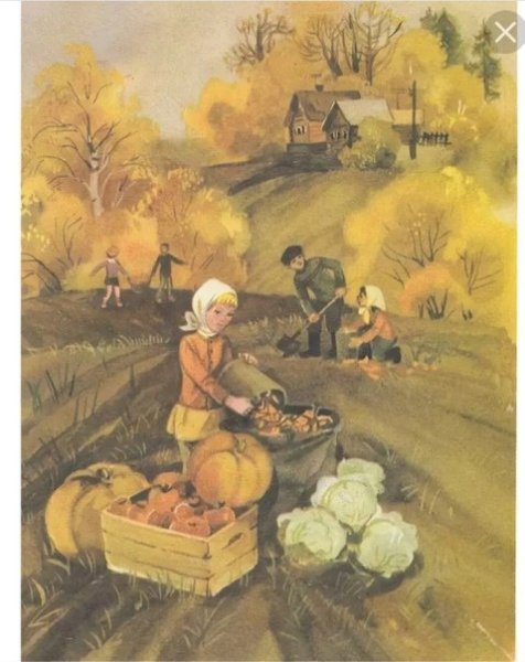 Осенний сбор урожая