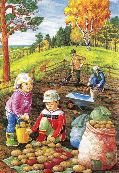 Уборка овощей Нищева