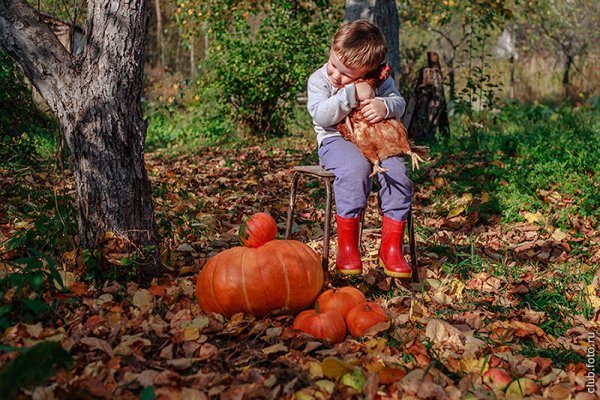 Фотосессия сбор урожая