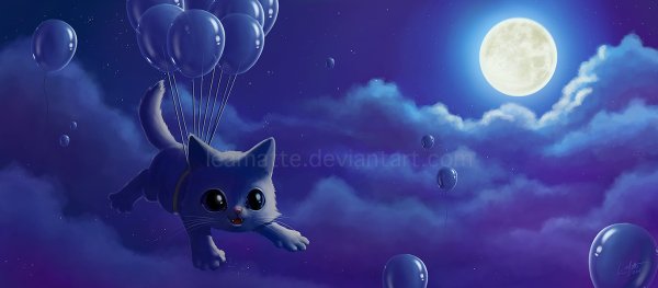 Котик облачко