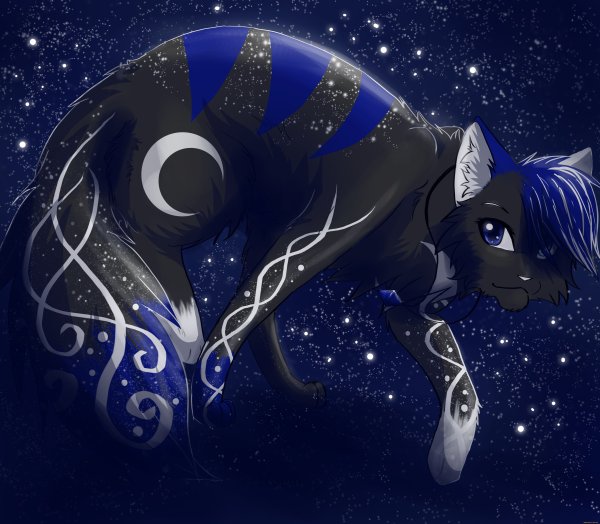 Космический кот коты Воители