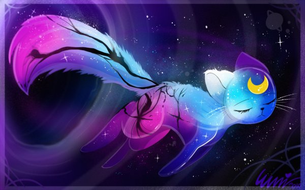 Космические котики аниме