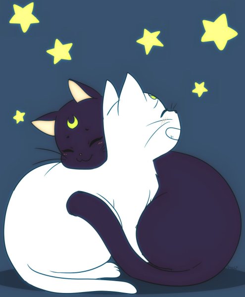 Sailor Moon Луна кошка