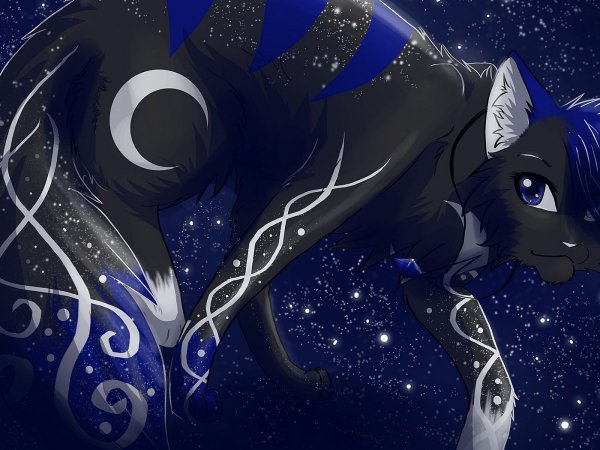 Коты Воители Космическая звезда