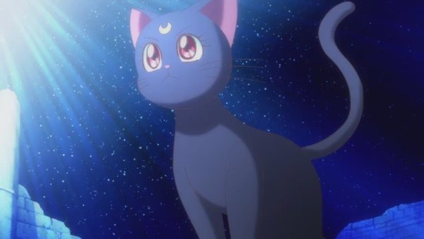 Лунный котик аниме