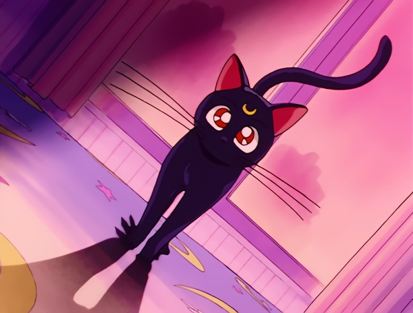 Сейлормун кошка Луна