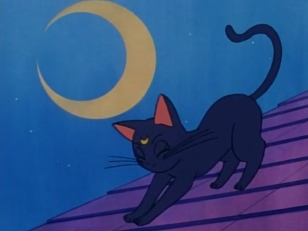 Sailor Moon Луна кошка