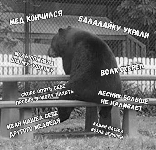 Медведь в депрессии