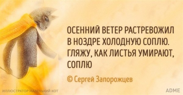 Осенняя депрессия приколы