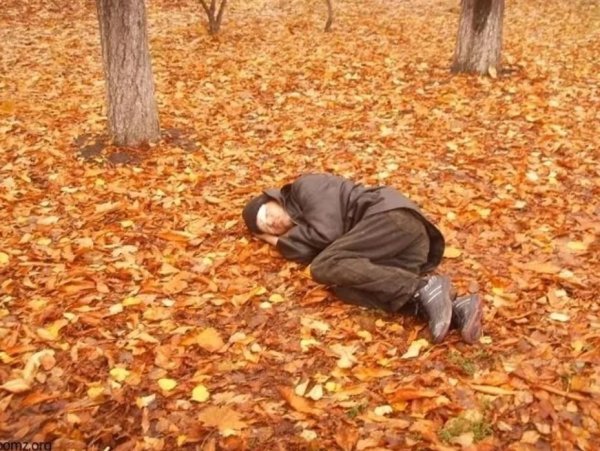 Мужчина лежит на осенних листьях