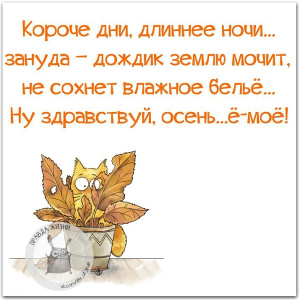 Приколы про осень цитаты