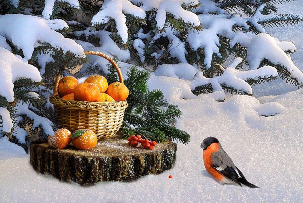 Пейзаж мандарины