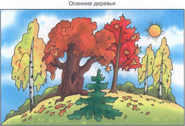 Сюжетные картинки осенние деревья