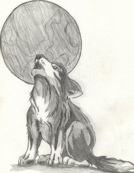 Нарисованный волк воющий на луну