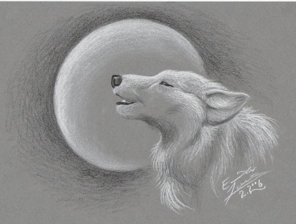 Волк и Луна для срисовки