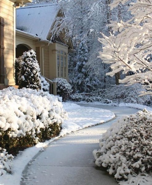 Красивый сад зимой