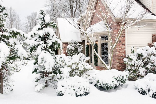 Красивый сад зимой