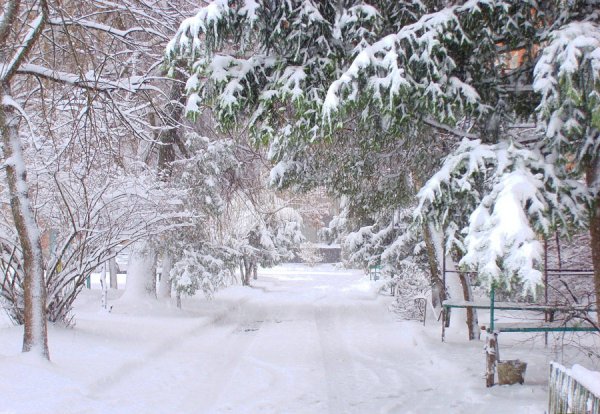 Зимний снежный двор