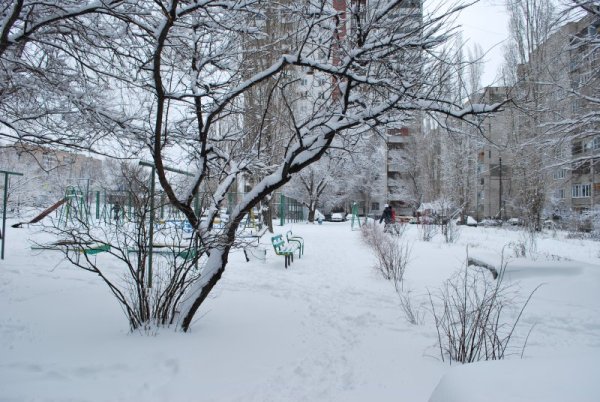 Первый снег во дворе