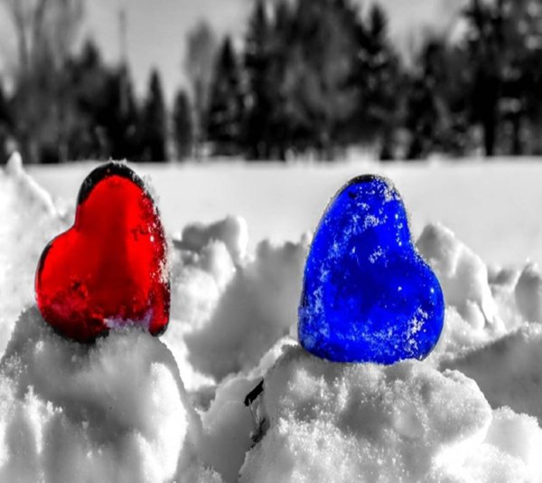 Сердце на снегу