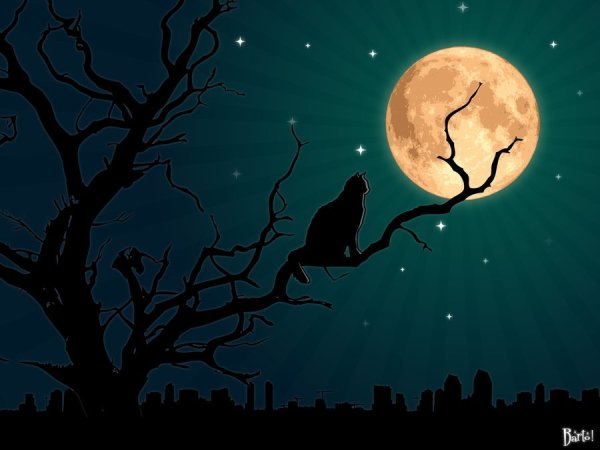 Сказочное полнолуние